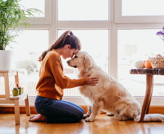 Fibromyalgie : des chiens pour aider les malades