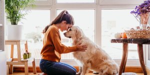 Fibromyalgie : des chiens pour aider les malades