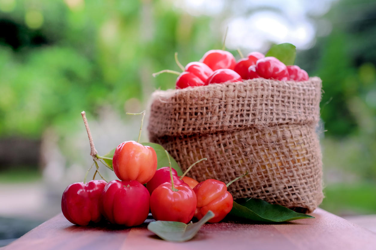 Cure de vitamine C : où trouver de l'acérola