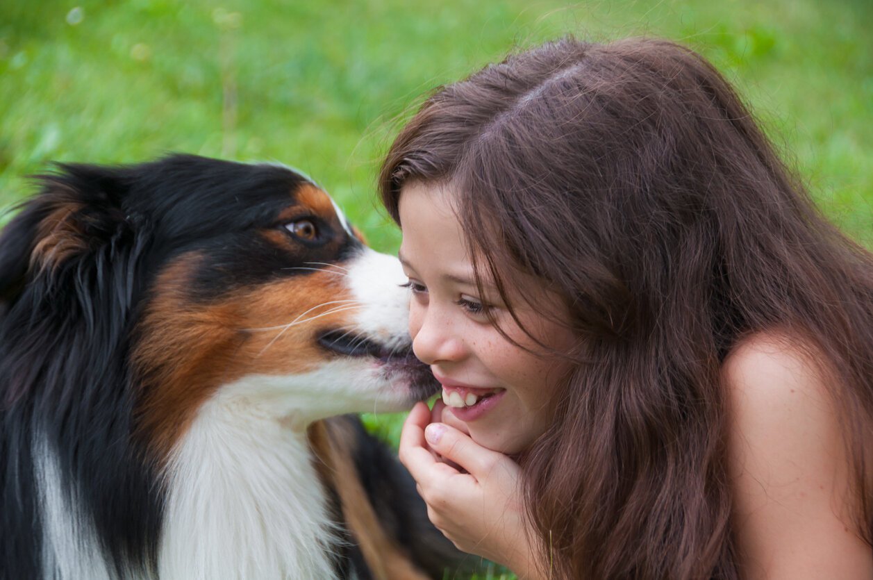 Se faire lécher le visage par son chien : existe-t-il un risque ou non ?