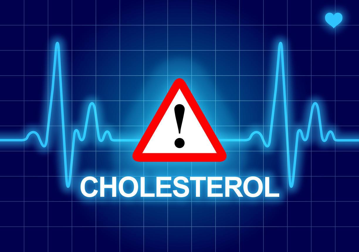 bon et mauvais cholestérol les chiffres clés