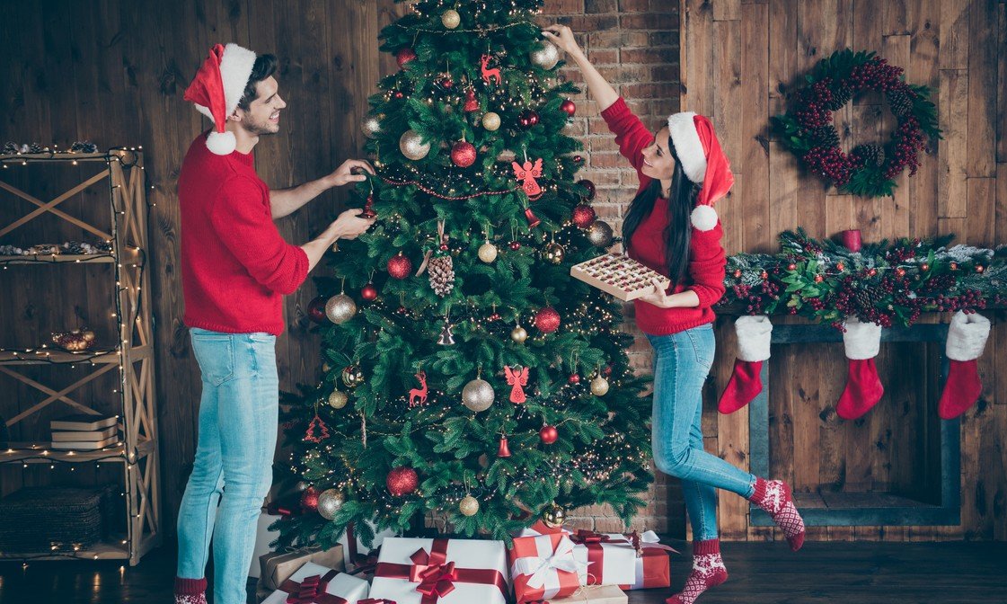 Champignons, insectes, parasites… Ce que cache vraiment votre sapin de Noël