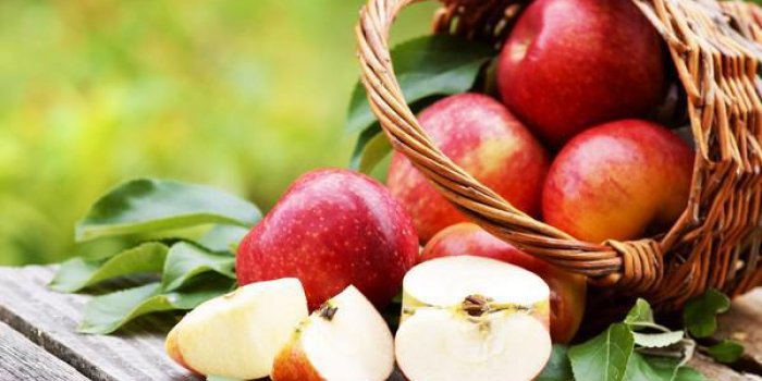 Quelles variÃ©tÃ©s de pommes choisir et pourquoi ? 