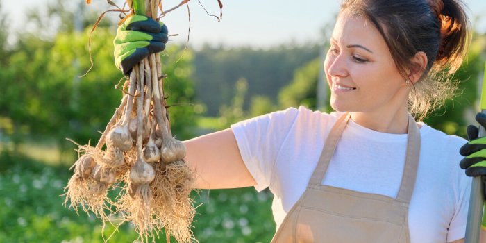 Neuf aliments Ã  manger pour rÃ©duire le risque de cancer