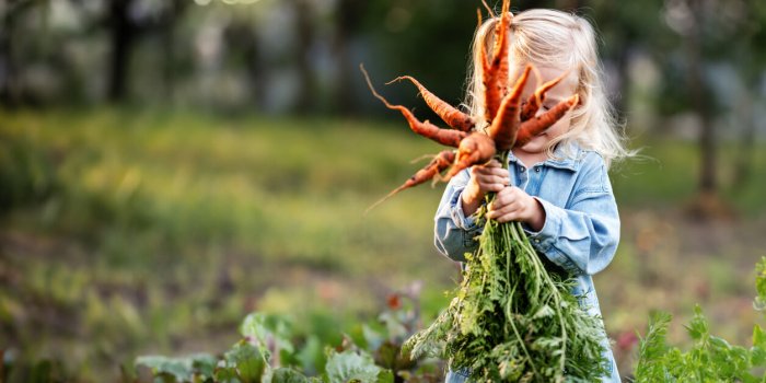 Neuf aliments Ã  manger pour rÃ©duire le risque de cancer