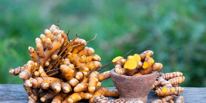 Neuf aliments Ã  manger pour rÃ©duire le risque de cancer