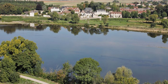 aerial photography of cour-sur-loire, 41500 ( blois), loir-et-cher, centre region, centre val-de-loire, france