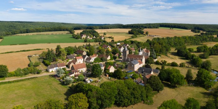 Troubles respiratoires : alerte rouge Ã  l'ambroisie dans 12 dÃ©partements