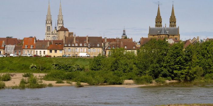 Troubles respiratoires : alerte rouge Ã  l'ambroisie dans 12 dÃ©partements