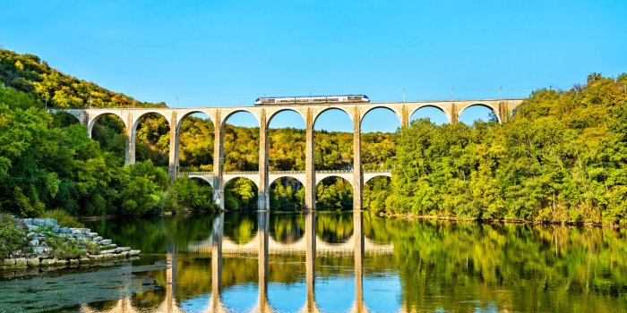 Troubles respiratoires : alerte rouge Ã  l'ambroisie dans 12 dÃ©partements