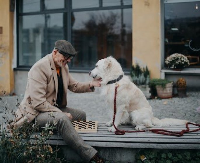 « Ma chienne est une therapeute en soi » : quand les animaux participent a la guerison