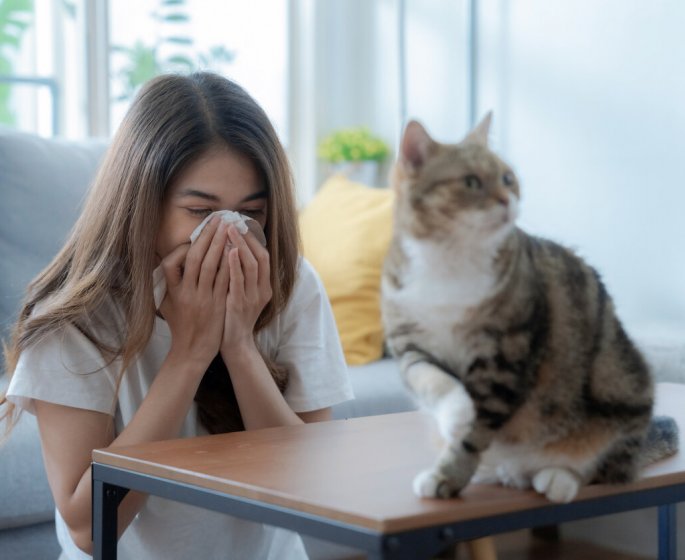 Allergie aux poils de chat : desensibilisation ou pas ? 