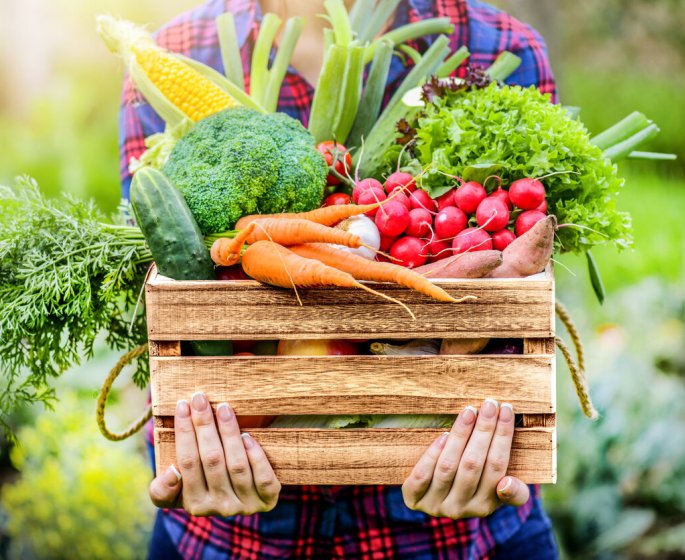 Les legumes cruciferes, des allies naturels contre l-hypertension arterielle