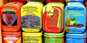 La sardine, un acide gras qui diminue le risque de cancer du sein