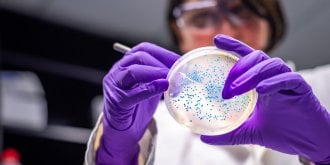 L’ antibioresistance, une menace pour l’activite chirurgicale 