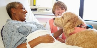 Zootherapie : le chien, un traitement contre Alzheimer