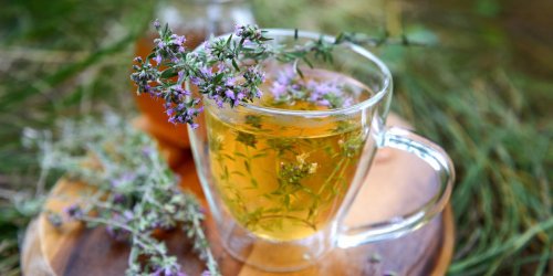 Tisane de thym : une infusion anti-flatulences