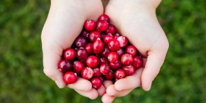 Le jus de cranberry pour vaincre les infections urinaires est-ce vraiment efficace ?