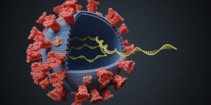 Variant sud-africain : la mutation &quot;la plus inquietante de toutes&quot;