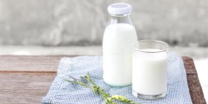 Boire du lait entier protegerait de l’AVC
