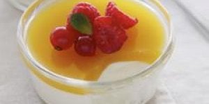 Panacotta au nectar de mangue et fruits frais