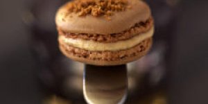 Macarons au chocolat, mangue et foie gras