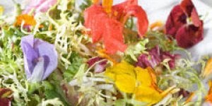 Salade de fleurs