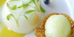 Panna cotta sur carpaccio de fruits et sorbet mandarine