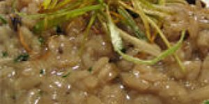 Risotto aux champignons