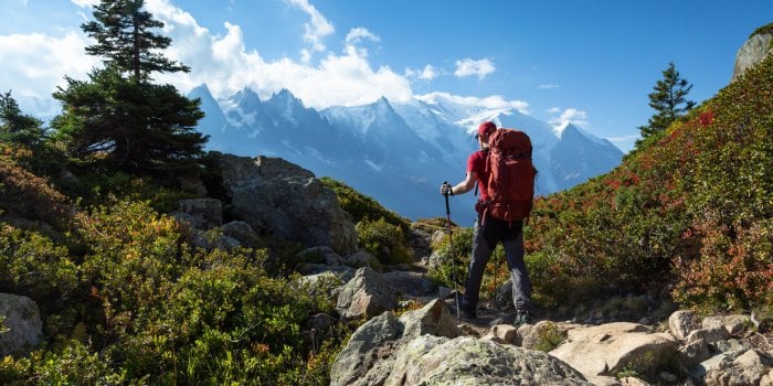 La marche nordique : comment bien choisir ses bâtons ? 