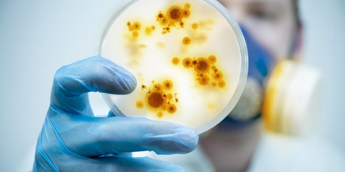 4 germes mortels qui menacent l’humanité