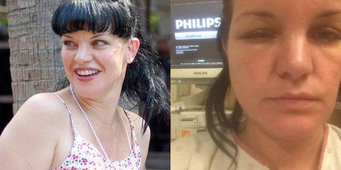 Pauley Perrette (NCIS) défigurée par une coloration pour cheveux