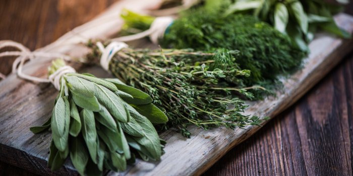 Voici l'herbe aromatique à ajouter à vos plats pour préserver votre cerveau