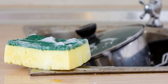 Pourquoi l'éponge de votre cuisine peut vous rendre malade