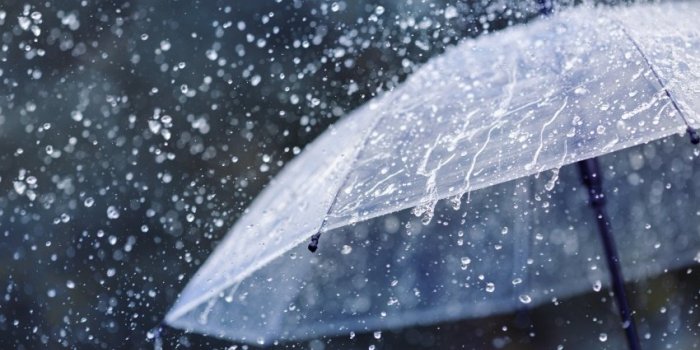 Pourquoi la pluie procure-t-elle une sensation de sérénité ?