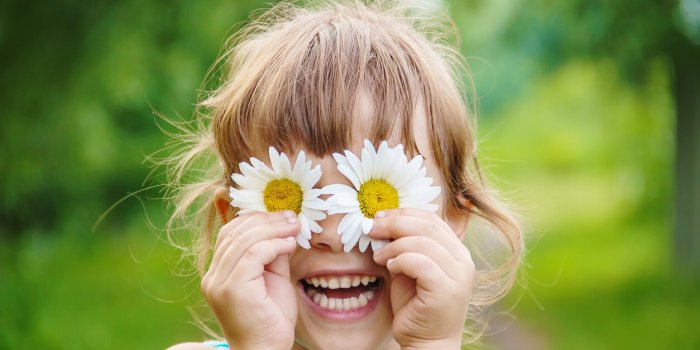 the girl is holding chamomile flowers in her hands selective focus nature