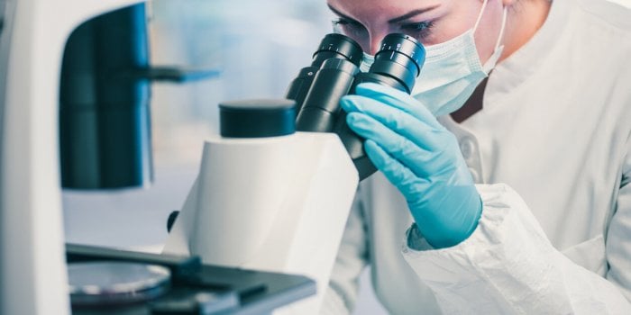 microbiology, laboratory technician observing bacteria strains through the microscope