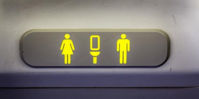 Faire l’amour en avion : 59% des gens optent pour les toilettes