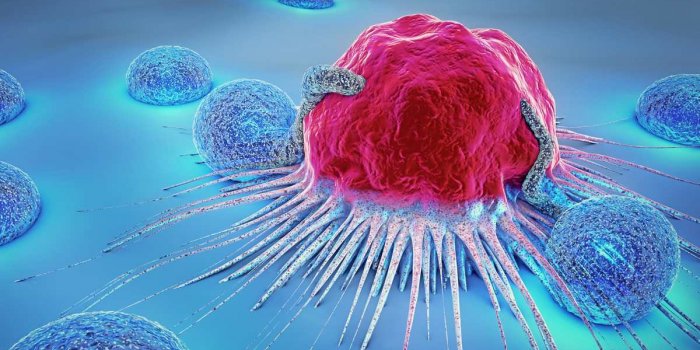 Un Test Pour Connaître Son Risque De Cancer En 10 Minutes