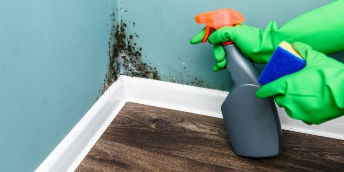 Comment enlever la moisissure dans votre maison