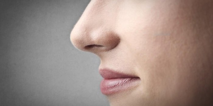 6 choses à savoir sur les sinus