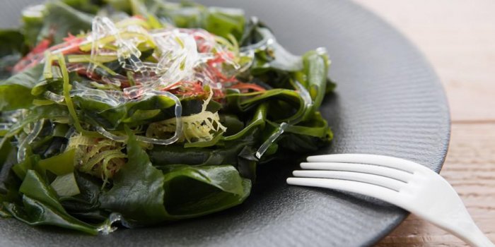 6 bonnes raisons de manger des algues