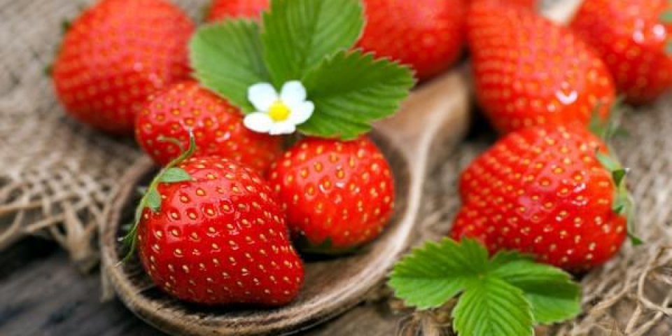 Boutons Un Symptome D Allergie Aux Fraises