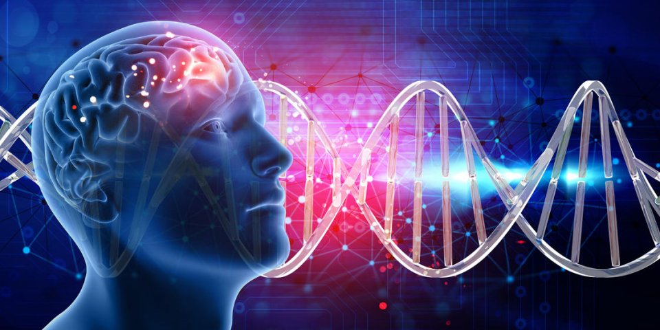 tumeur cerveau pronostic 